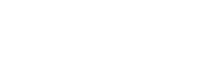 Admine_logo_W